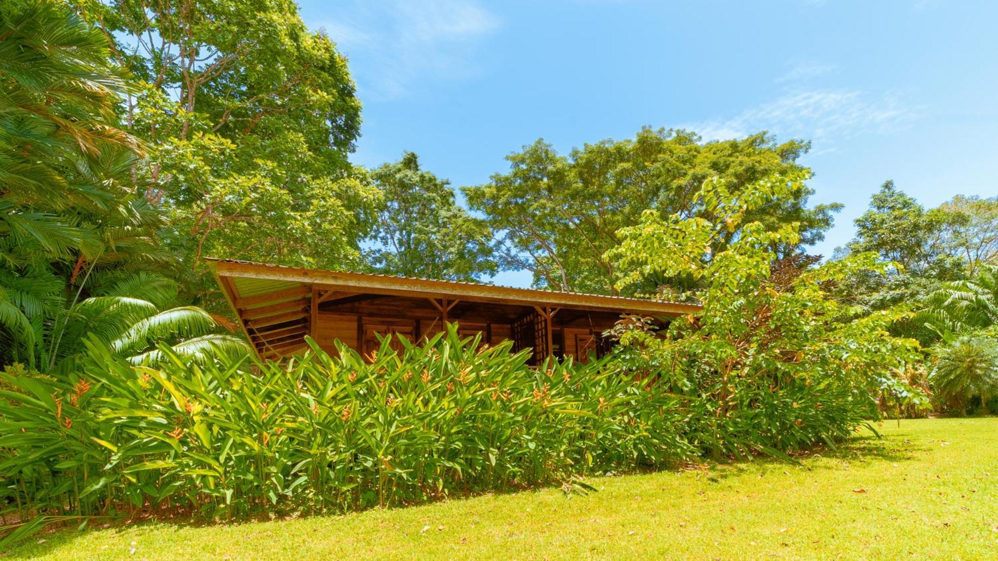 Casa Viva Lodge Puerto Viejo de Talamanca Exterior foto