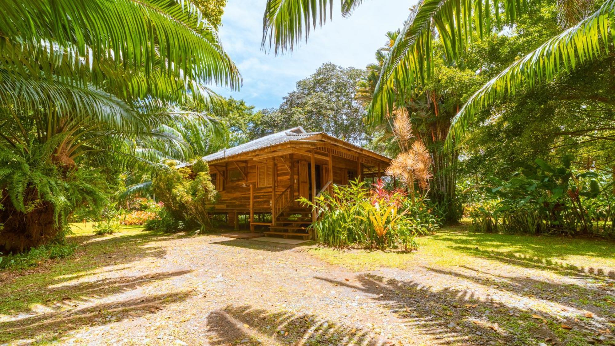 Casa Viva Lodge Puerto Viejo de Talamanca Exterior foto