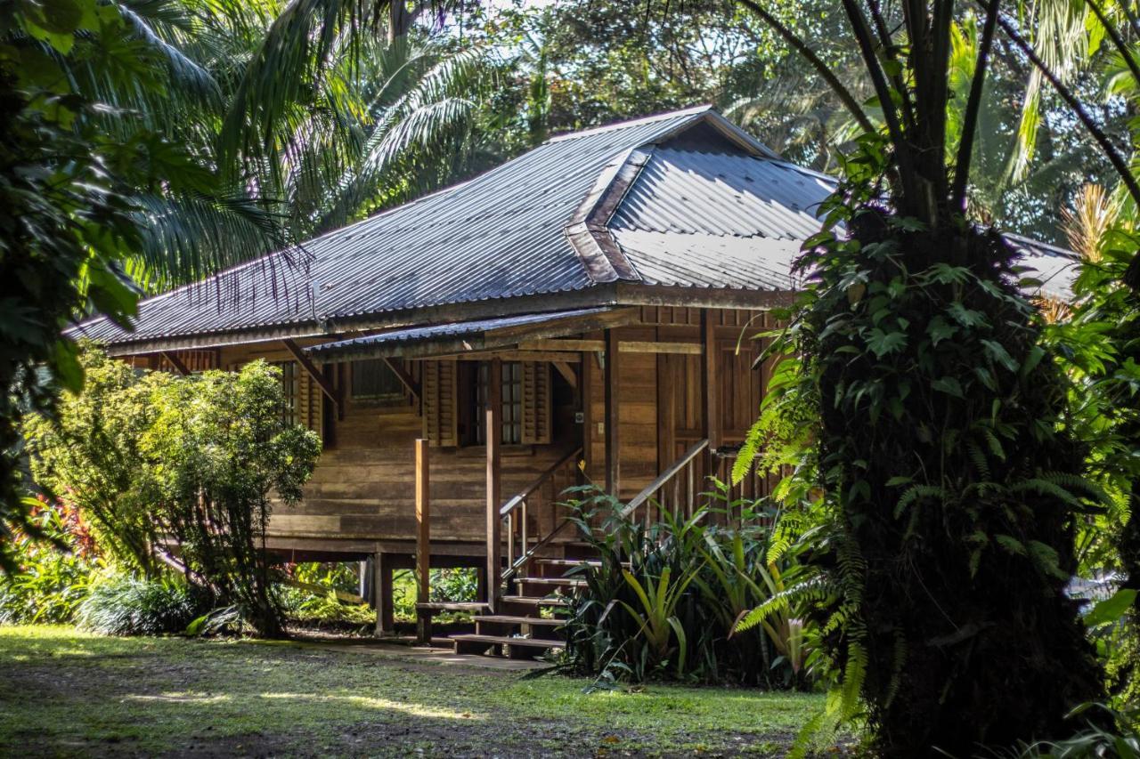 Casa Viva Lodge Puerto Viejo de Talamanca Exterior foto