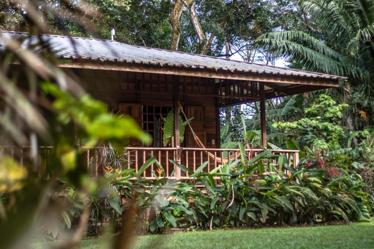 Casa Viva Lodge Puerto Viejo de Talamanca Exterior foto