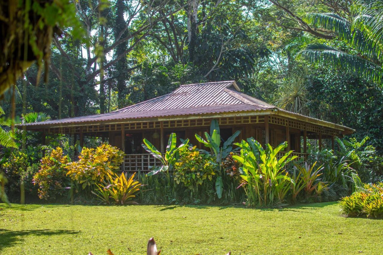 Casa Viva Lodge Puerto Viejo de Talamanca Exterior foto