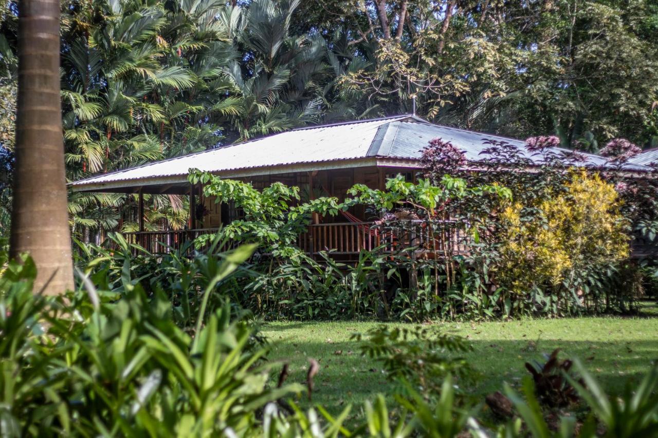 Casa Viva Lodge Puerto Viejo de Talamanca Exterior foto
