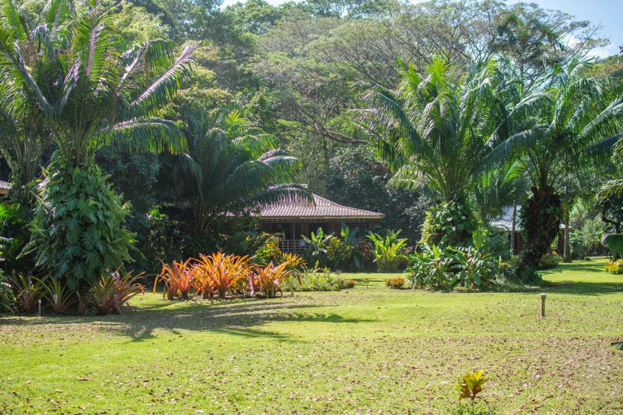 Casa Viva Lodge Puerto Viejo de Talamanca Exterior foto