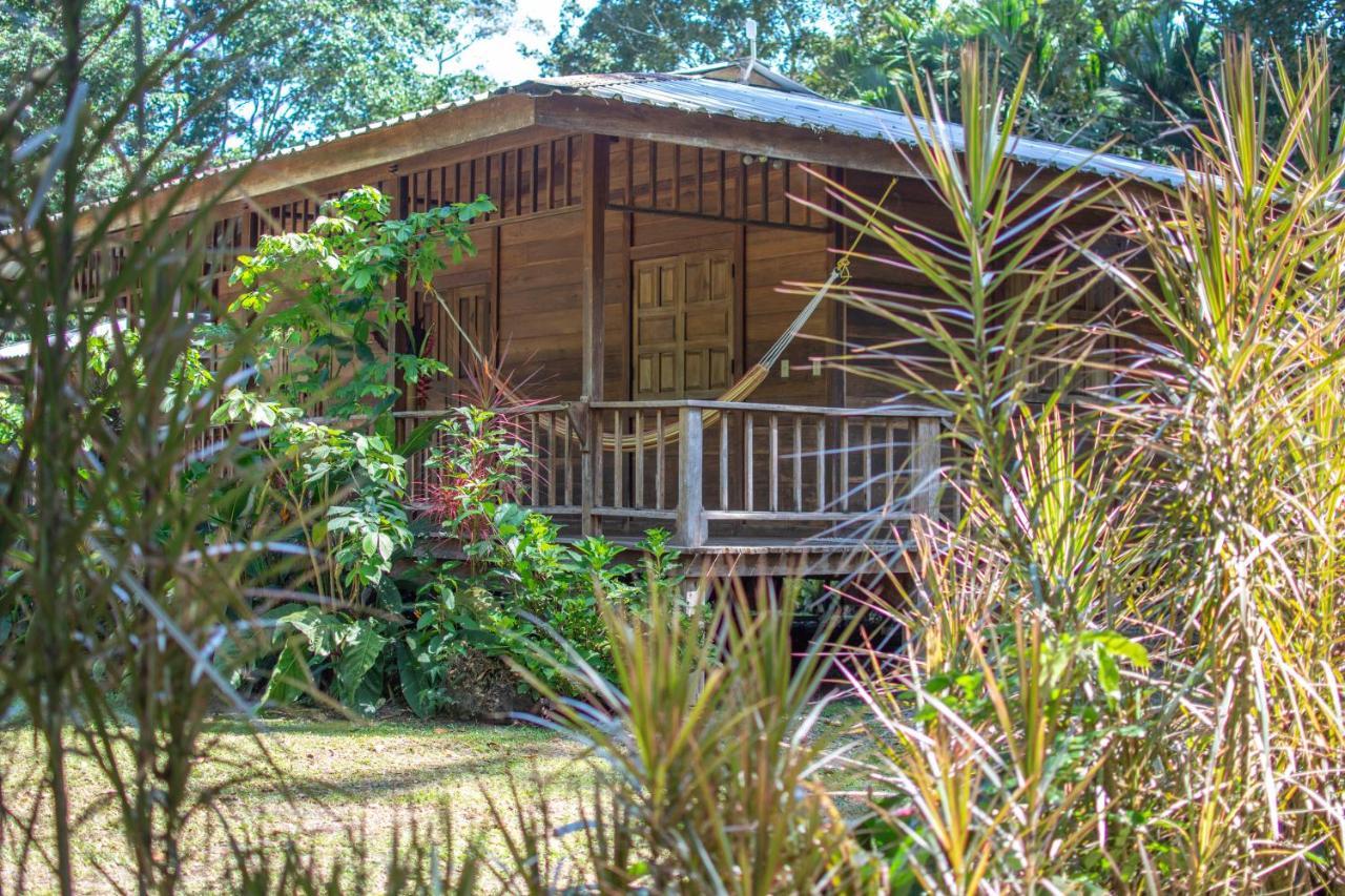 Casa Viva Lodge Puerto Viejo de Talamanca Exterior foto