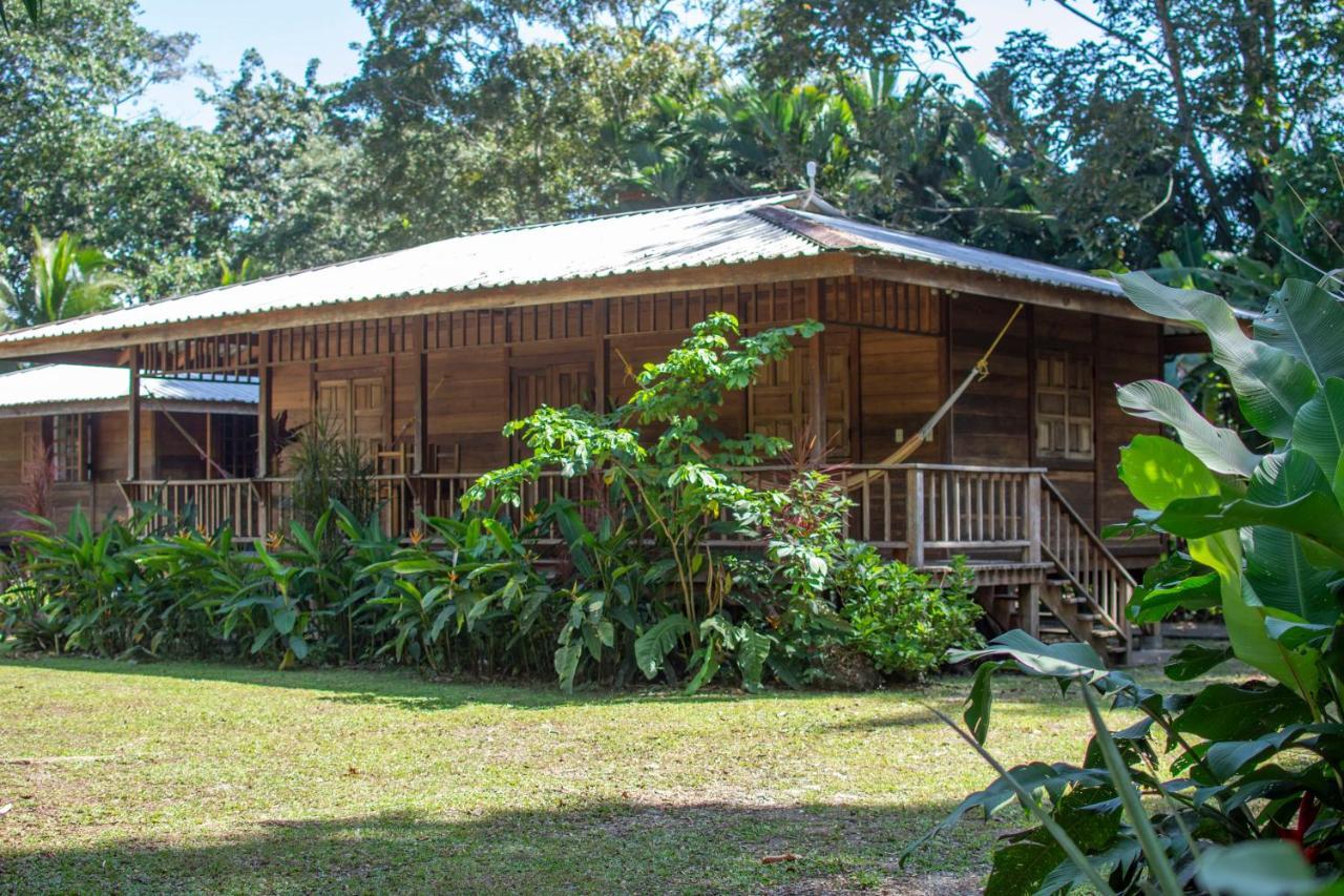 Casa Viva Lodge Puerto Viejo de Talamanca Exterior foto