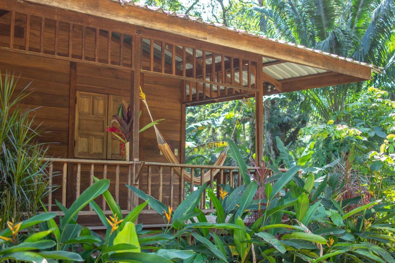 Casa Viva Lodge Puerto Viejo de Talamanca Exterior foto