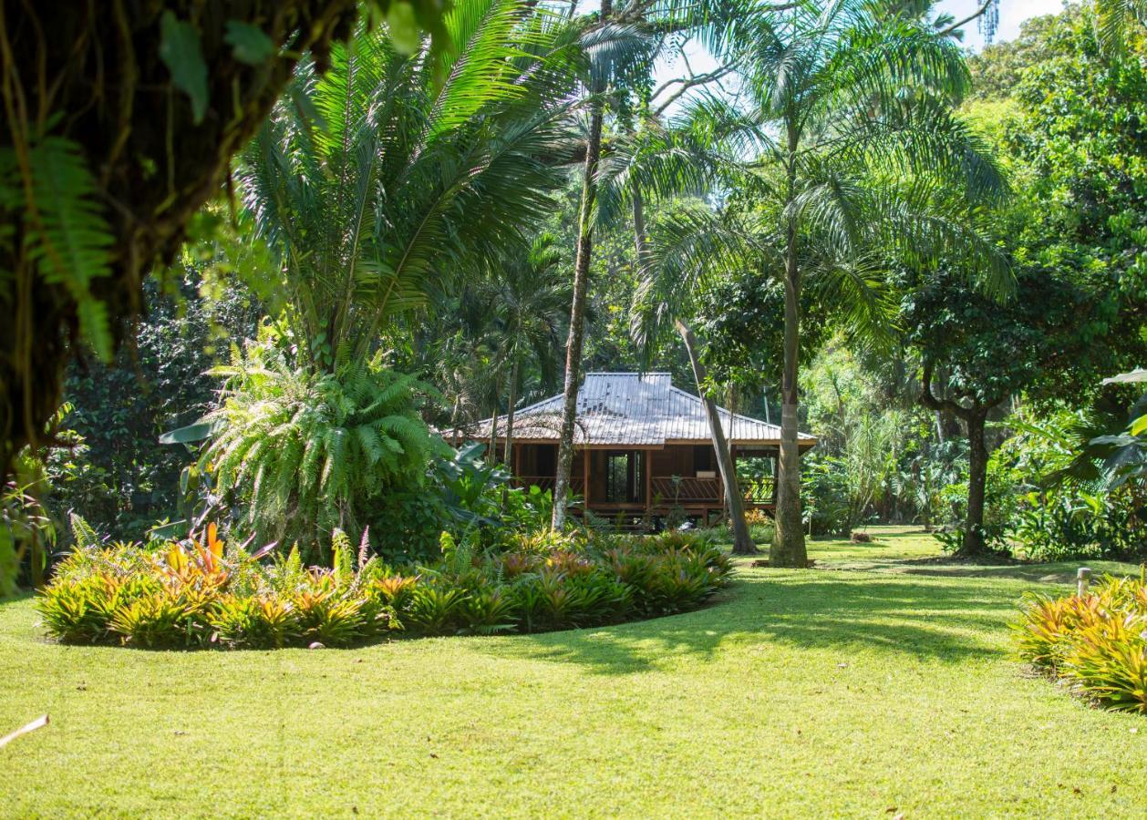 Casa Viva Lodge Puerto Viejo de Talamanca Exterior foto